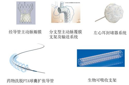 独家解读 我国上市创新医疗器械产品在神经内科的应用与发展